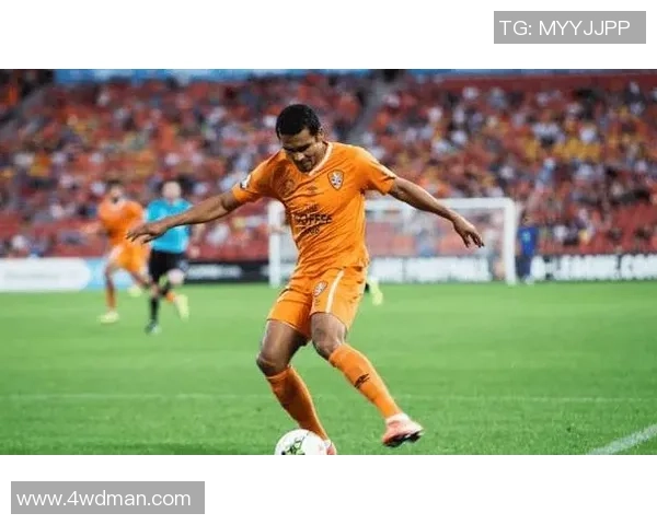 中央海岸水手与布里斯班狮吼TC的精彩对决即将上演 中央海岸水手与布里斯班狮吼TC的精彩对决即将上演