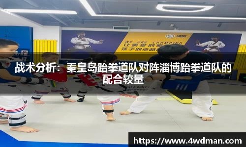 战术分析：秦皇岛跆拳道队对阵淄博跆拳道队的配合较量